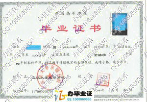 武汉大学东湖分校2007年毕业证样本