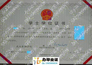 武汉东湖学院2012年学位证样本