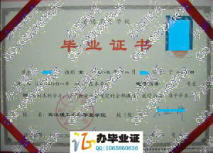 武汉理工大学华夏学院2008年毕业证样本