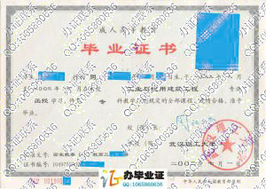 武汉理工大学2003年成人毕业证样本