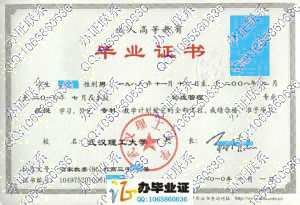 武汉理工大学2010年成人毕业文凭