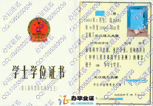 武汉理工大学2006年自考学位证