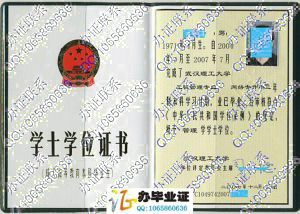 武汉理工大学2007年网络专科本学位证书
