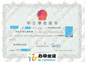 武汉理工大学2010年网络教育学位证书