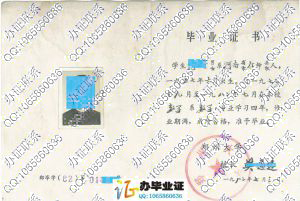 郑州大学1982年毕业证