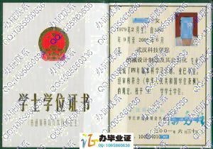 武汉科技学院2001年学位证样本