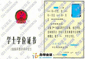武汉科技学院2005年学位证书