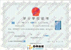 武汉科技学院2008年学位证