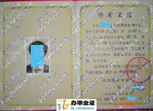 武汉钢铁学院1989年本科毕业证