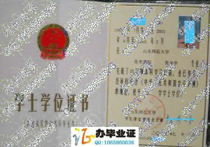 山东师范大学2005年学位证样本