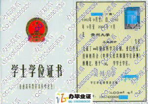 贵州大学2006年学位证