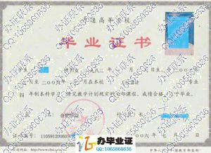 合肥学院2006年毕业证样本