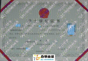 云南财经大学2009年学位证