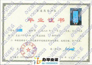 重庆信息技术职业学院2007年大专毕业证