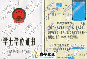 武汉体育学院2006年学位证样本