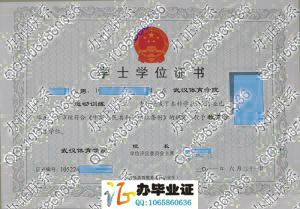 武汉体育学院2011年学士学位证书
