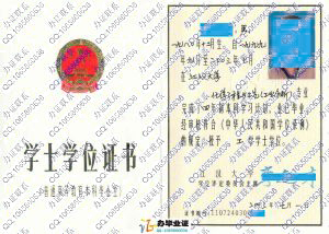 江汉大学2003年学位证样本