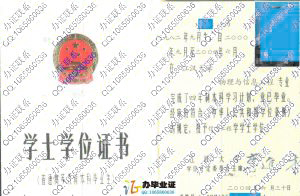 江汉大学2004年学位证