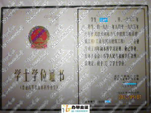 武汉水利电力大学1995年老版学位证