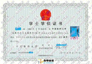 中国医科大学2010年学位证书