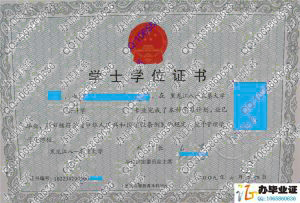 黑龙江八一农垦大学2009年学士学位证样本