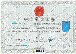 南昌航空大学科技学院2008年学位证书
