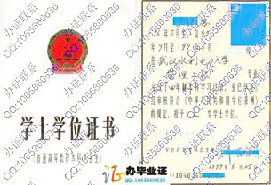 武汉水利电力大学1999年学位证证