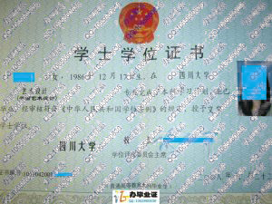 四川大学2008年学位证书