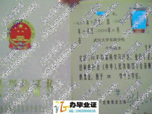 武汉大学东湖分校2006年学士学位证