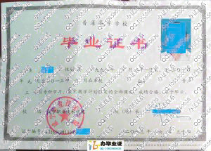 咸宁职业技术学院2013年大专毕业证