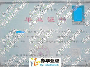 武汉电力职业技术学院2010年毕业证