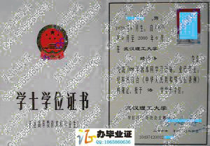 武汉理工大学2000年学位证