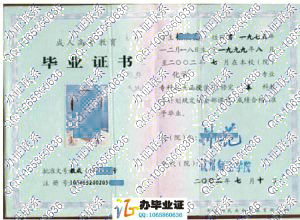 杭州师范学院2002年成人毕业证
