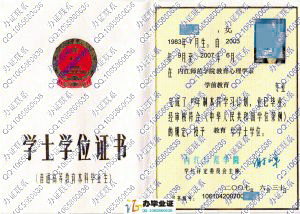 内江师范学院2007年学位证