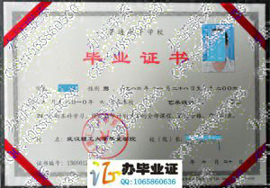 武汉理工大学华夏学院2010年毕业证