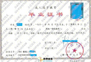 江汉大学2010年成人毕业证