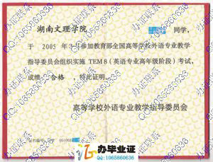 湖南文理学院英语专业八级证(TEM8)