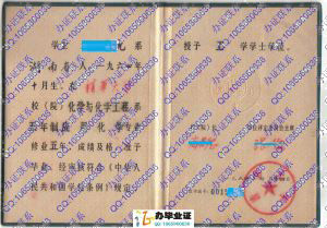清华大学1994年老版学位证