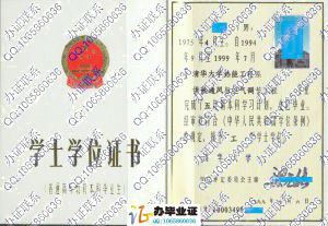 清华大学1999年本科学位证