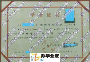 北京大学1983年毕业证样本