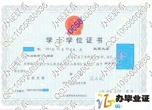 北京大学2010年网络教育学位证书