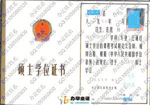北京大学2007年硕士学位证